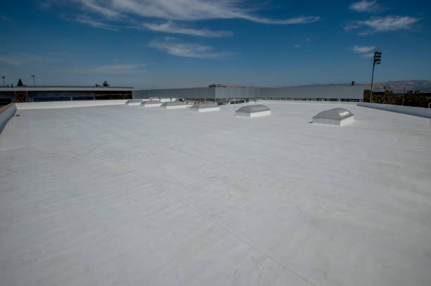 Best Slate Roofing  in Pheasant Run, OH